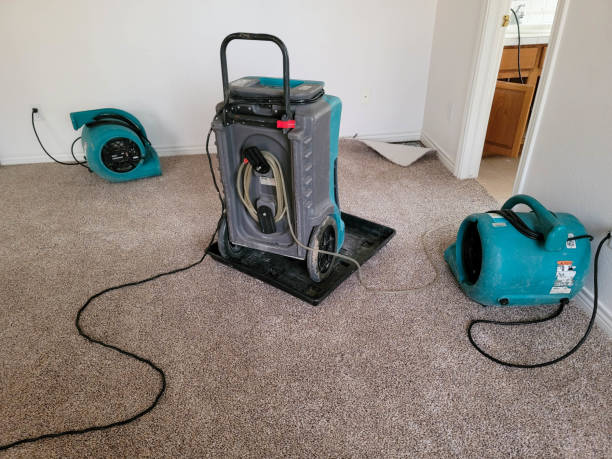 24/7 water damage repair in Natalbany, LA
