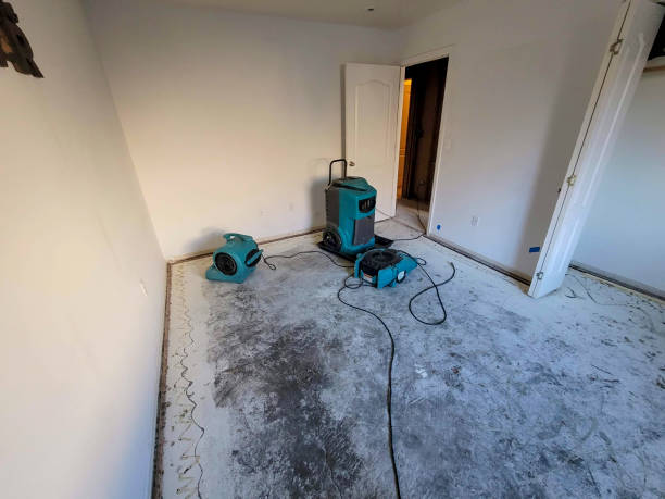 Best Flood damage cleanup  in Natalbany, LA